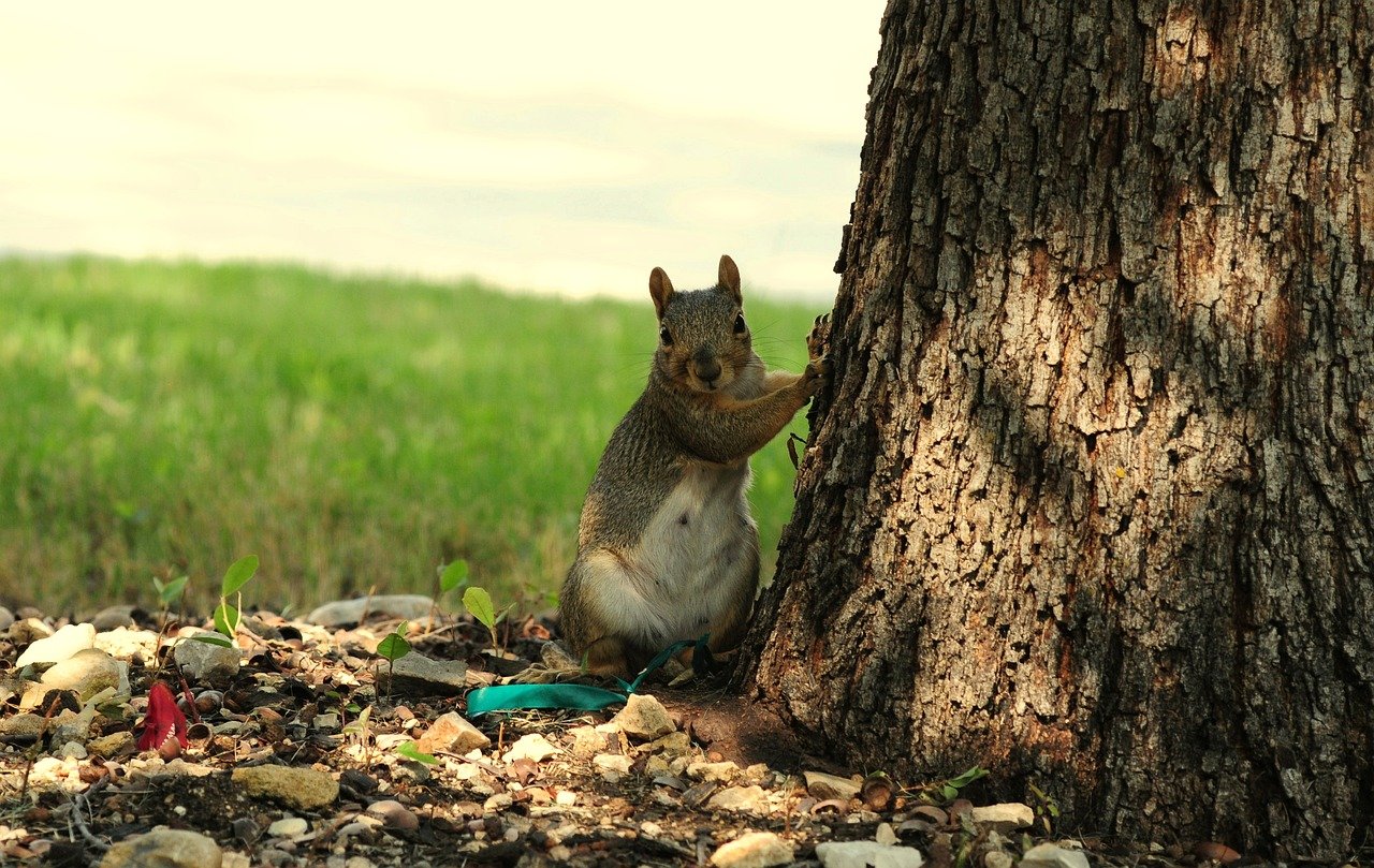 控制 journalctl 日志最大值的方法与步骤