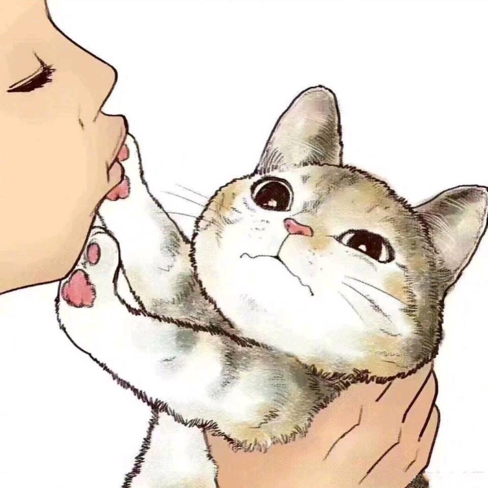 BvBeJ的小站