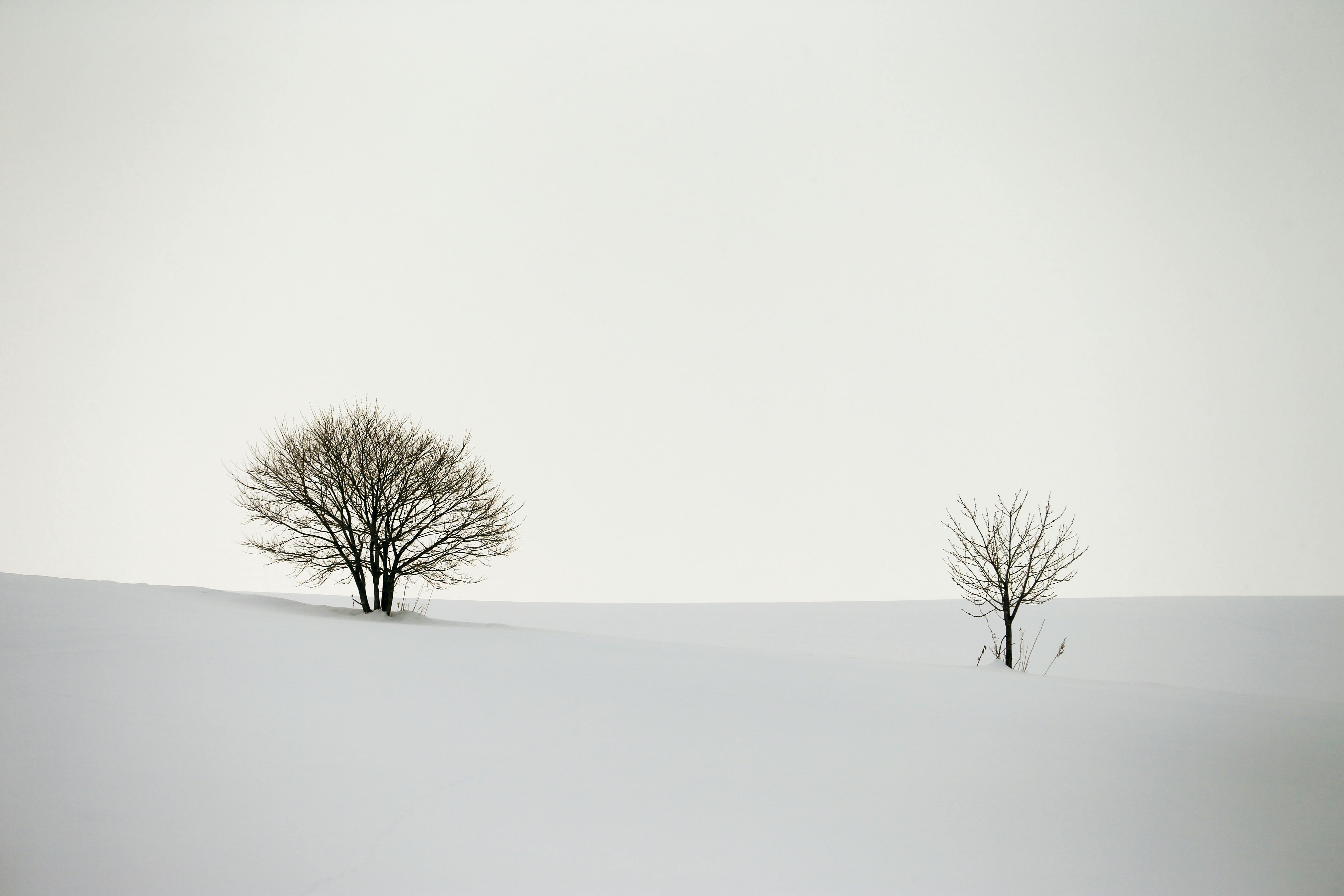 使用 Go 实现的简单 SOCKS5 代理示例