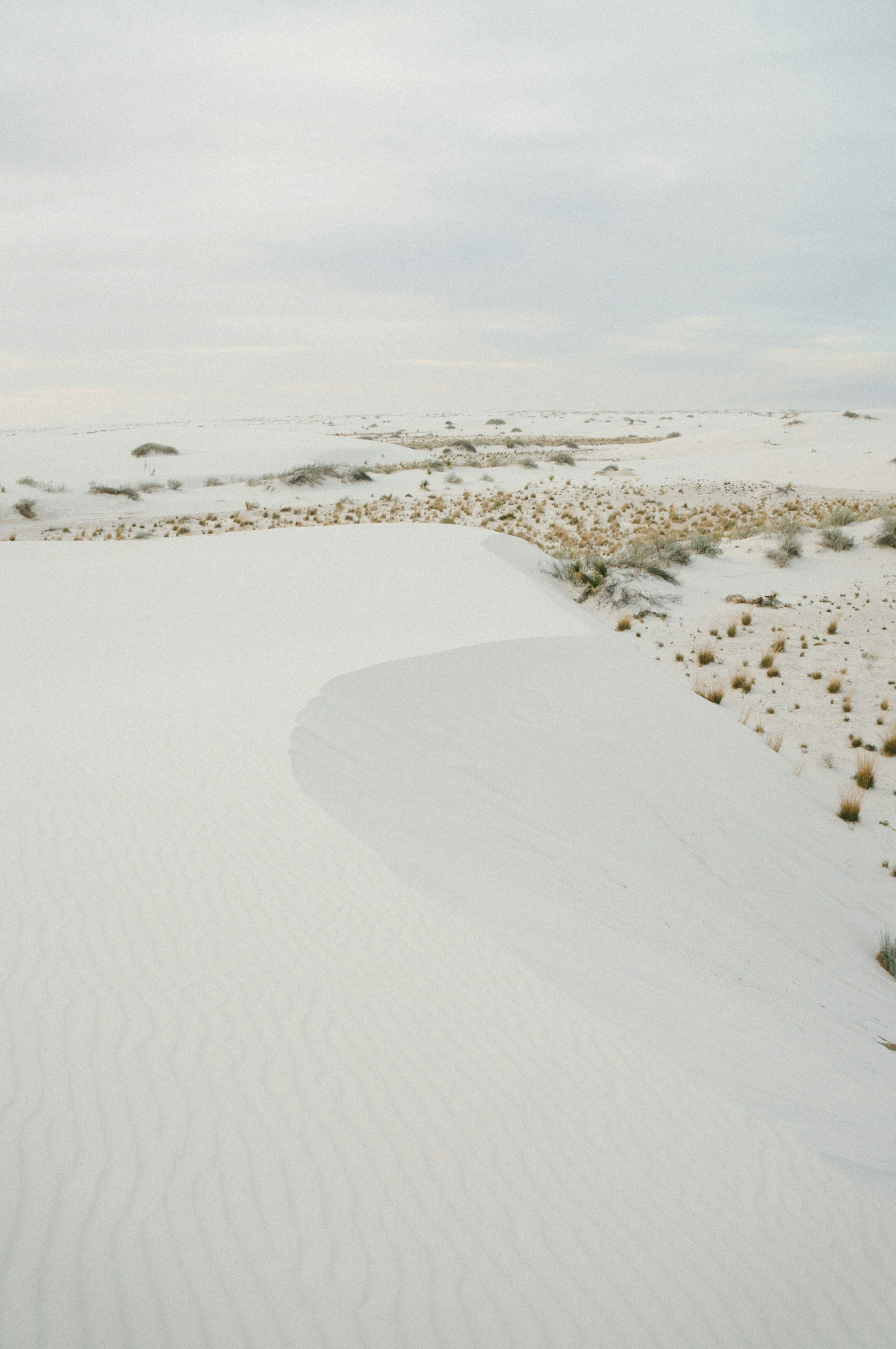 Cache 的映像与变换方法